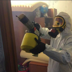 Уничтожение клопов в квартире. Остров
